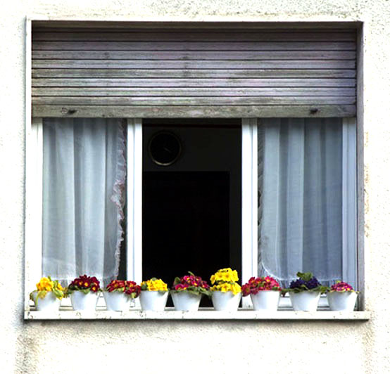 la finestra sulla strada