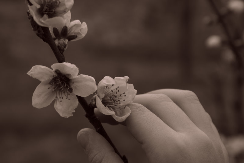 la primavera di un bimbo