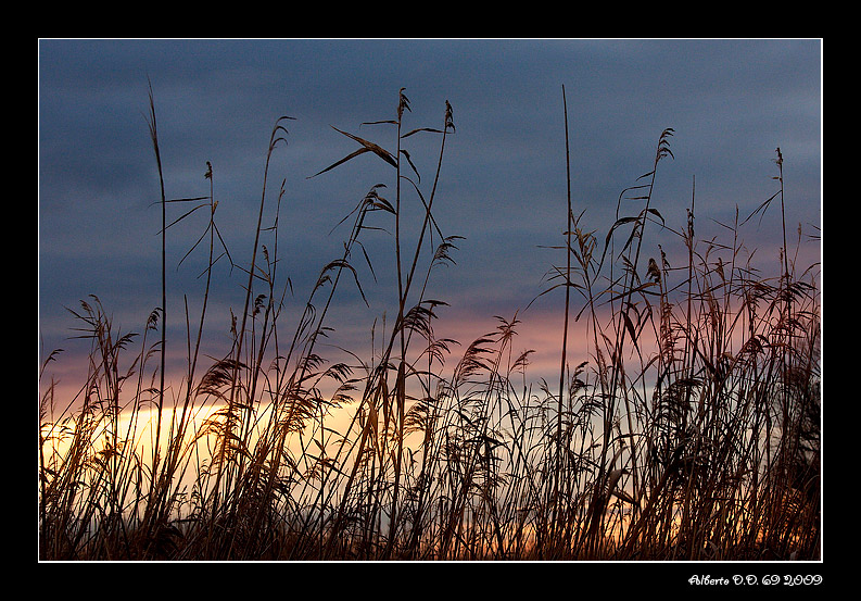 ...aspettando la notte...