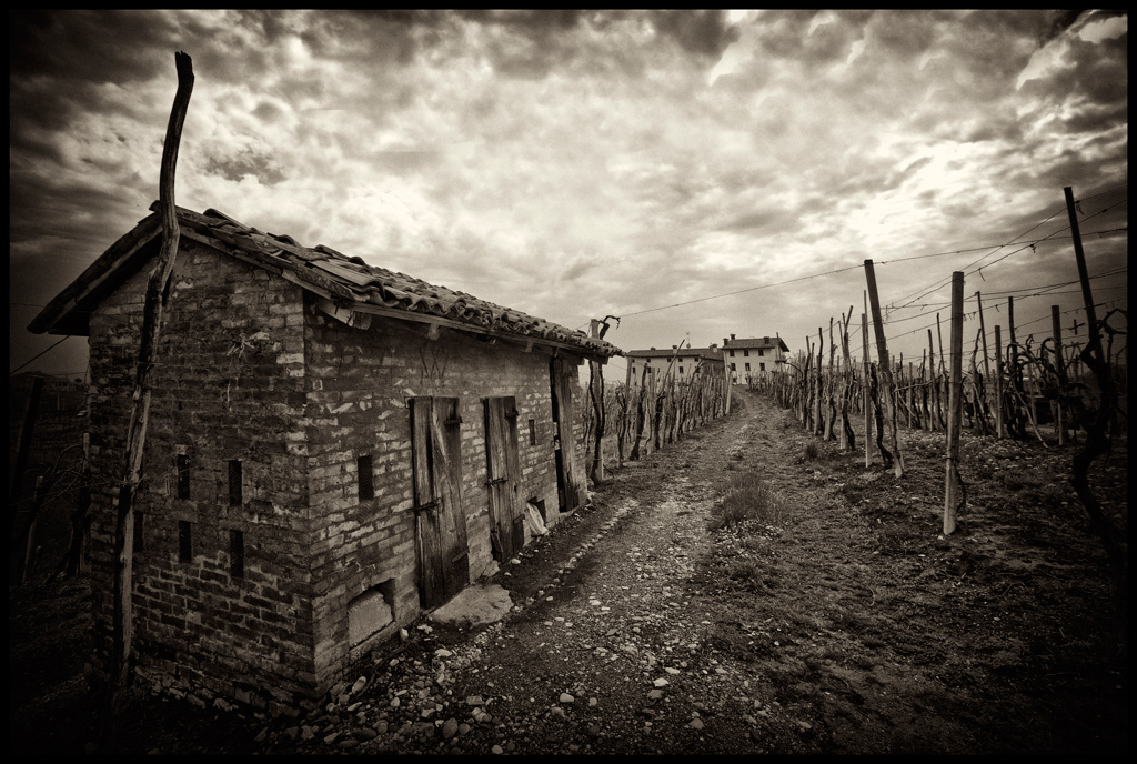 ....  S T ...  Holga