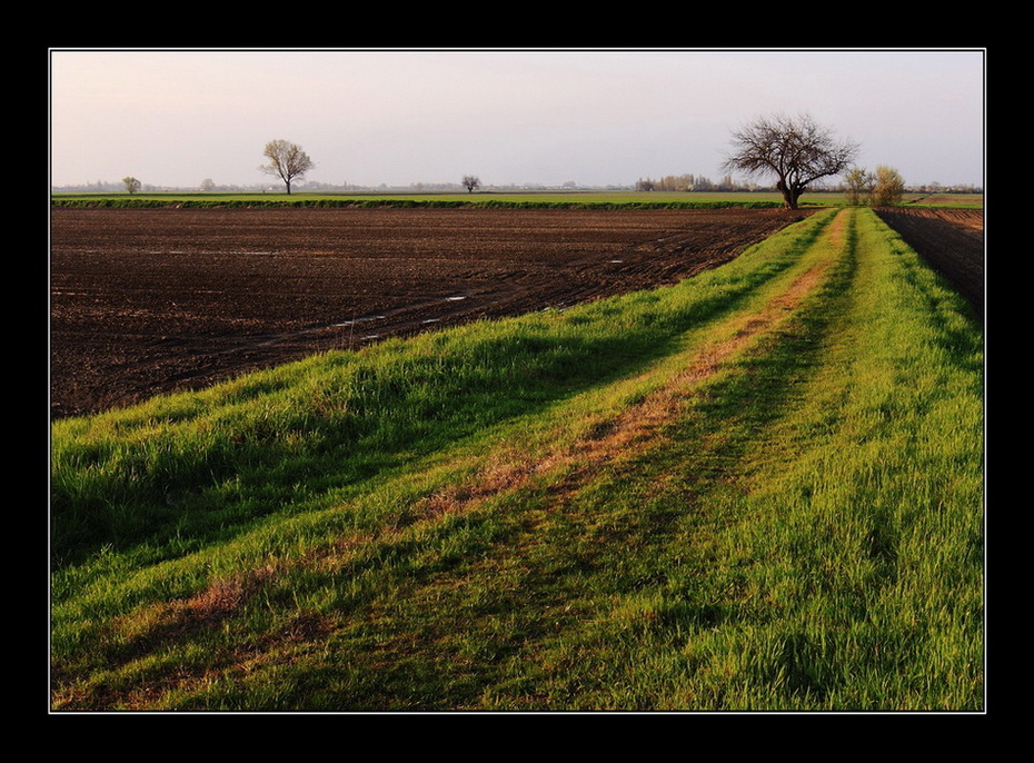 Campagna Bolognese