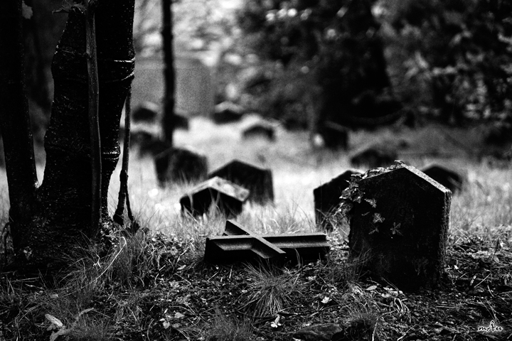 Viggi�, il Cimitero Vecchio