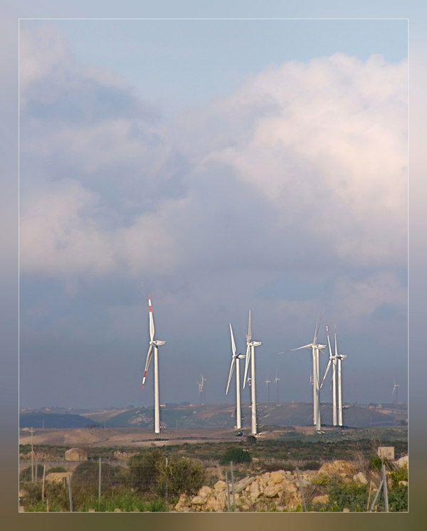 pale eoliche