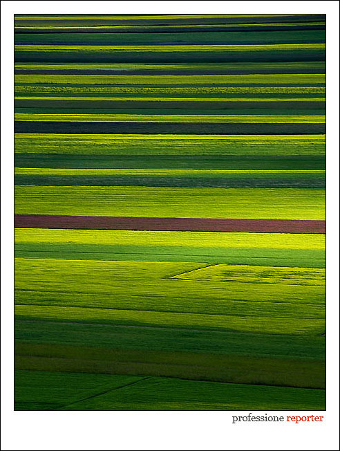 Castelluccio di Norcia