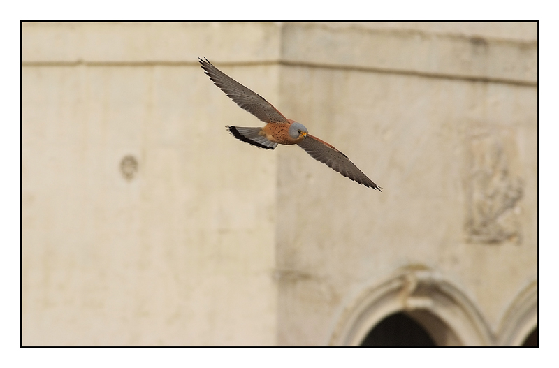 ...i primi di stagione....