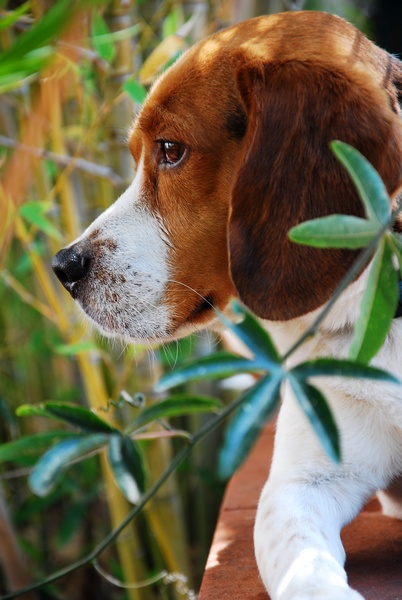 che ne pensi del mio profilo?