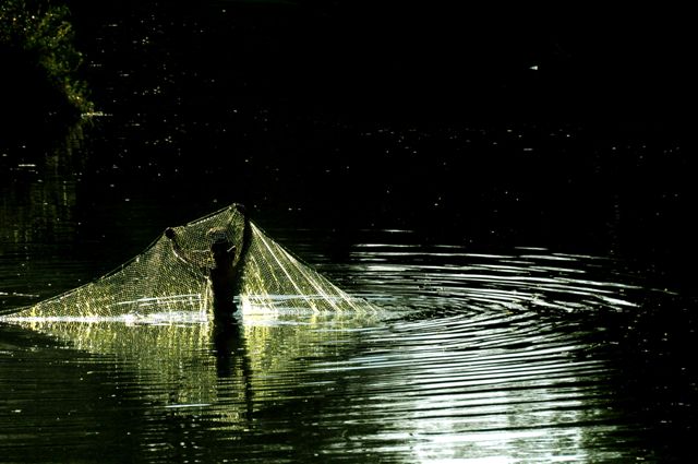 pescatore a Tat Lo (Laos)