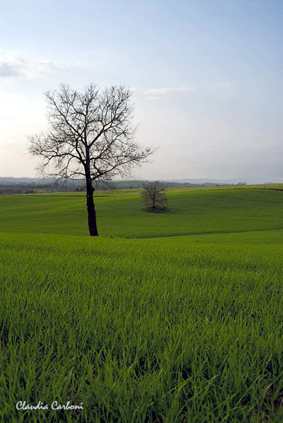 Between earth and sky