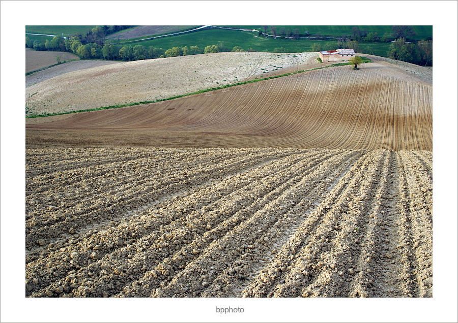 ...gi� per il campo...