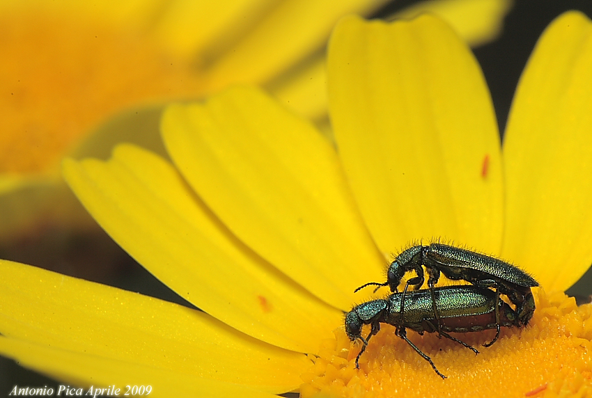E' primavera diamoci da fare