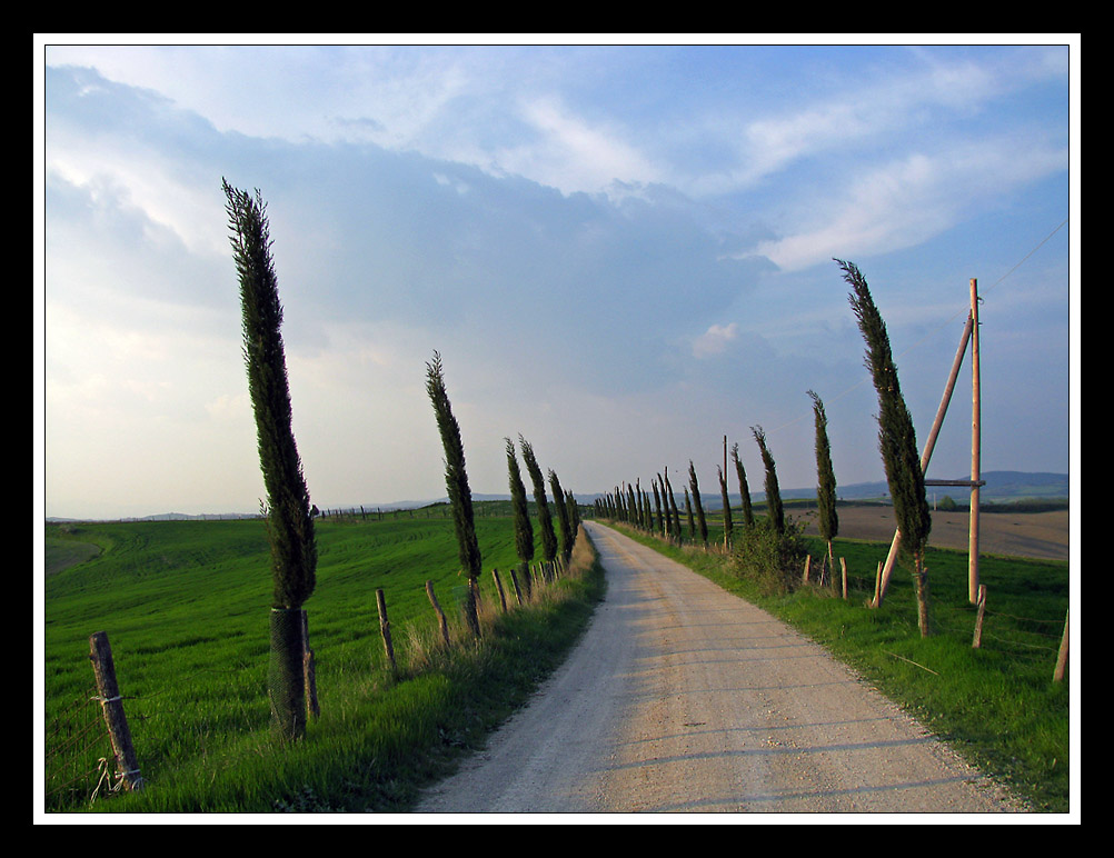 Stradina con cipressi