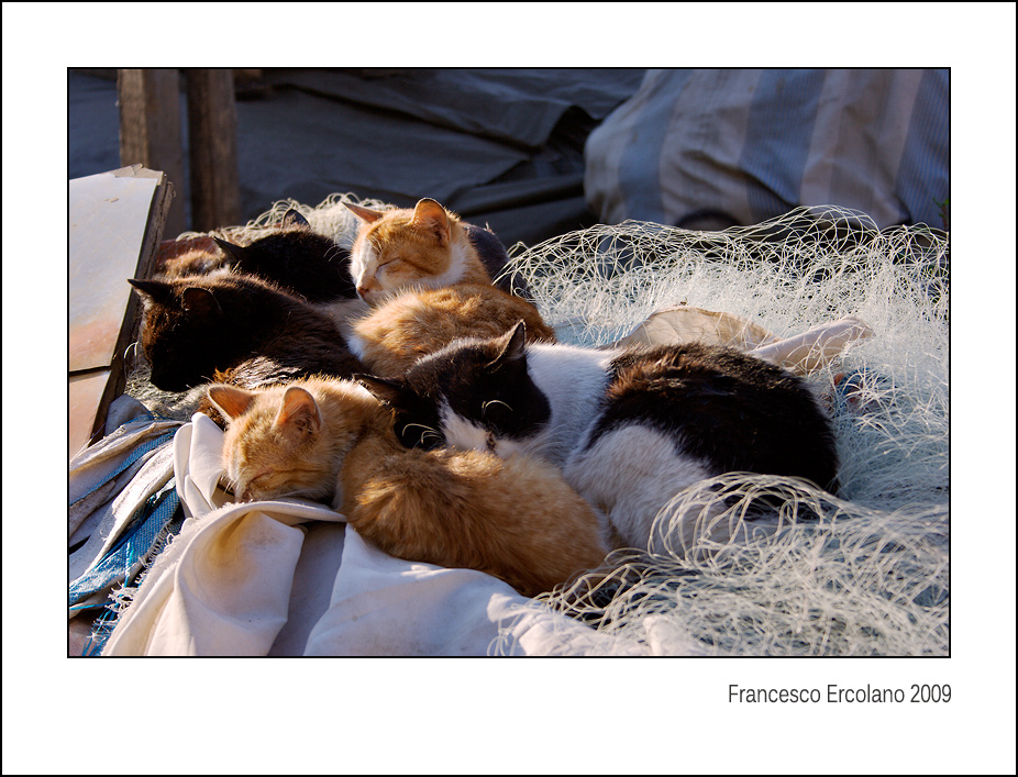 Il Riposo Dei Pescatori...