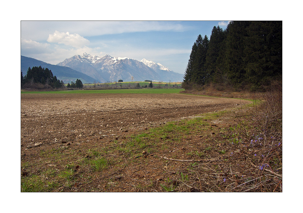 Ogni cosa ha il suo posto #2