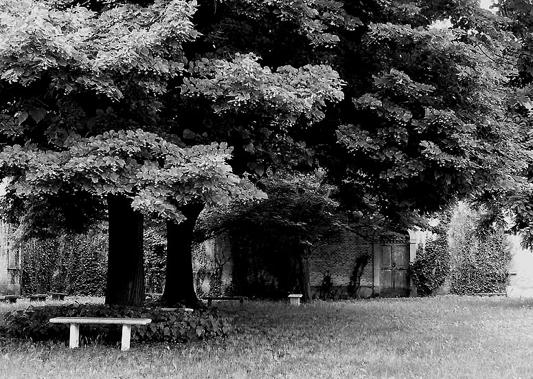 il giardino...dimenticato