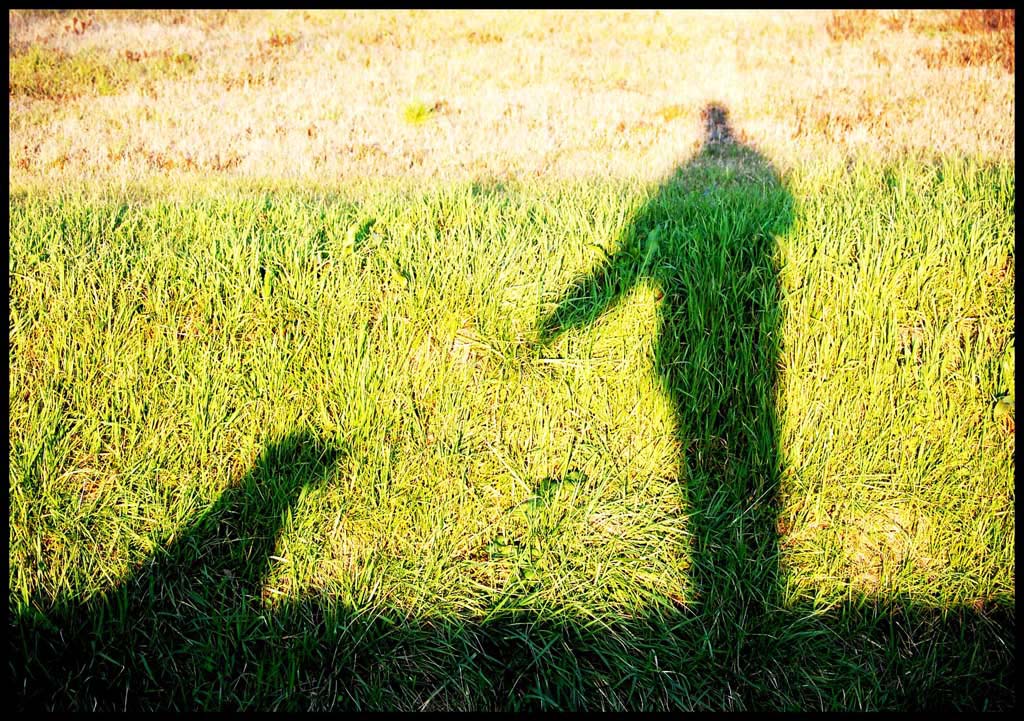 riflessi di un padrone