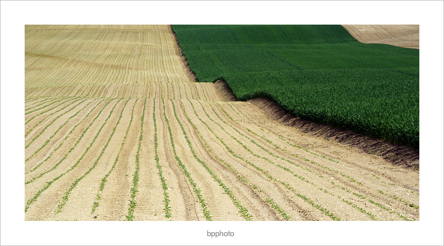 ...ondulazioni colore...