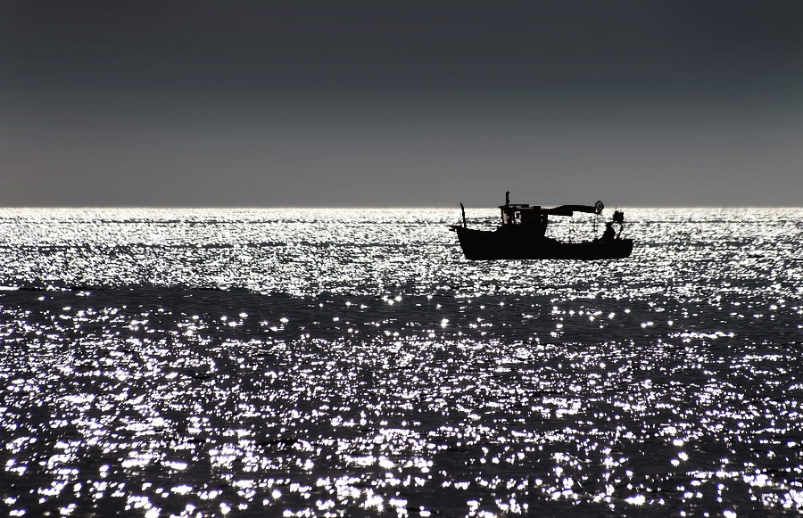 il vecchio e il mare