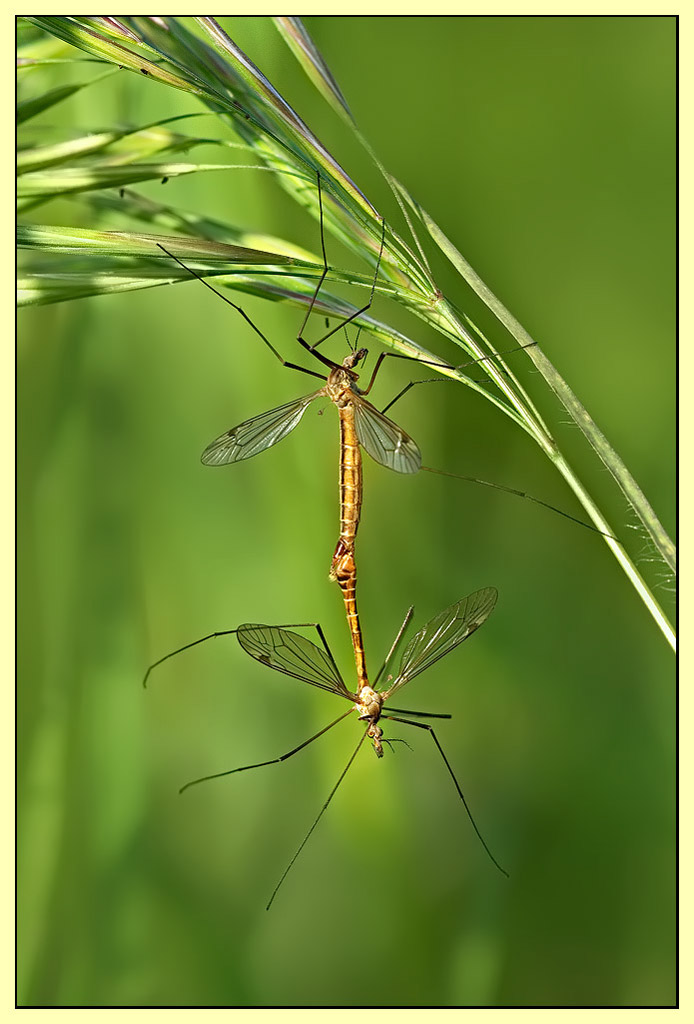 la vita � una catena