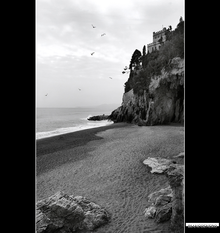 ::: L'UOMO E IL MARE :::