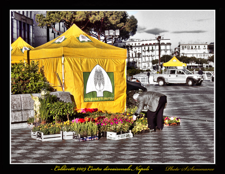 Prima della apertura del mercato