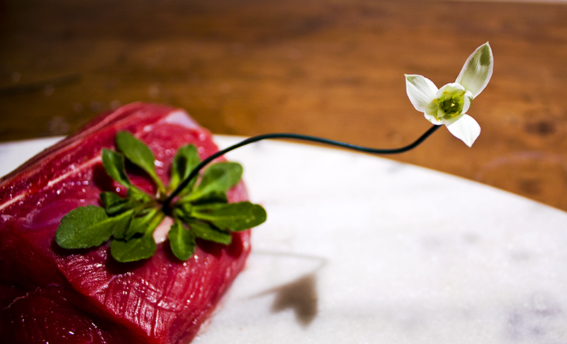 La ballata del miche'