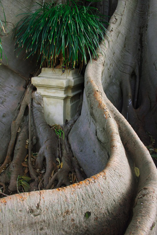 In trappola per sempre