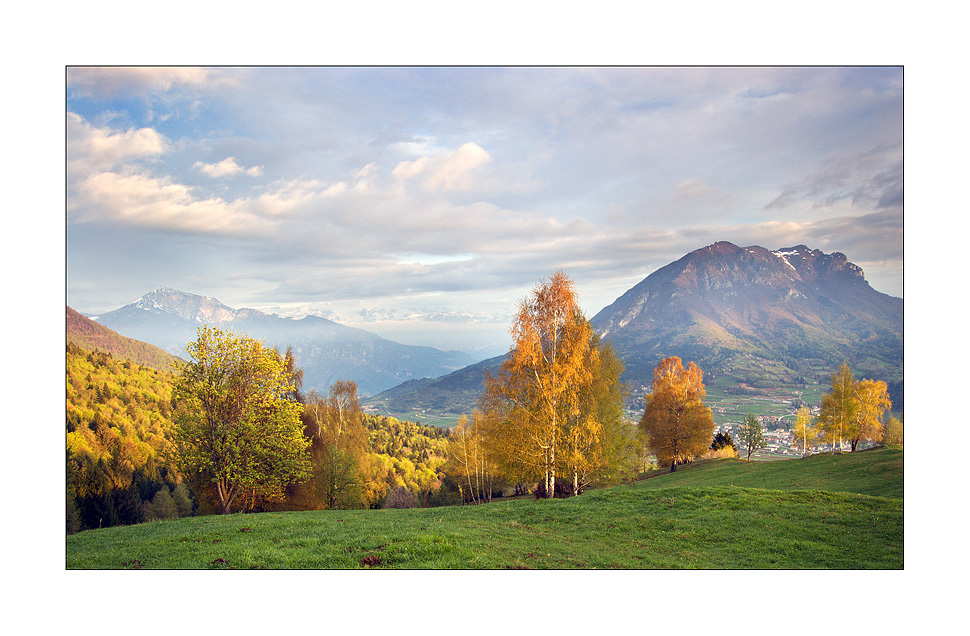 L'oro del mattino #2