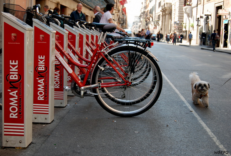 "Voglio andare in bici anch'io!"