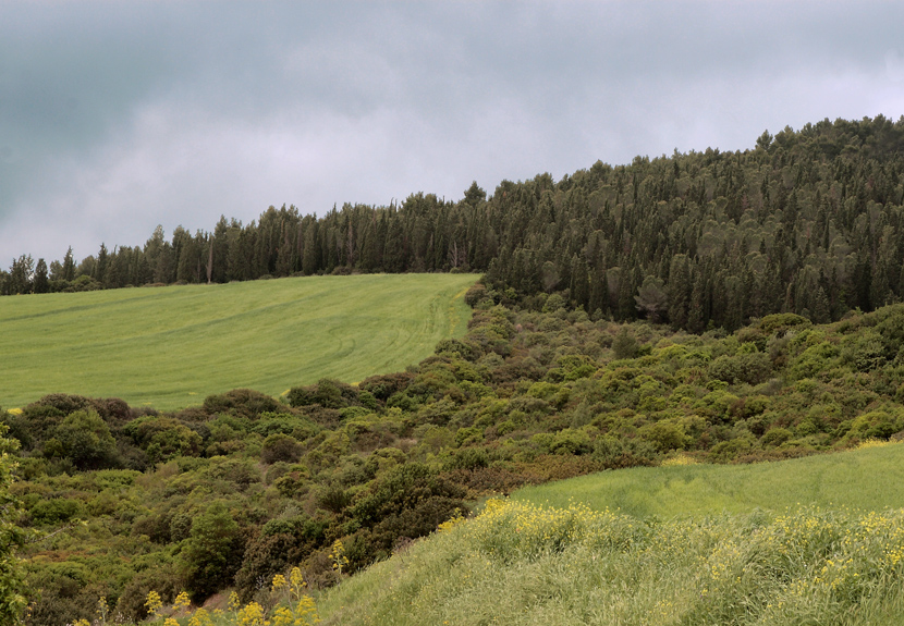 campagna materana