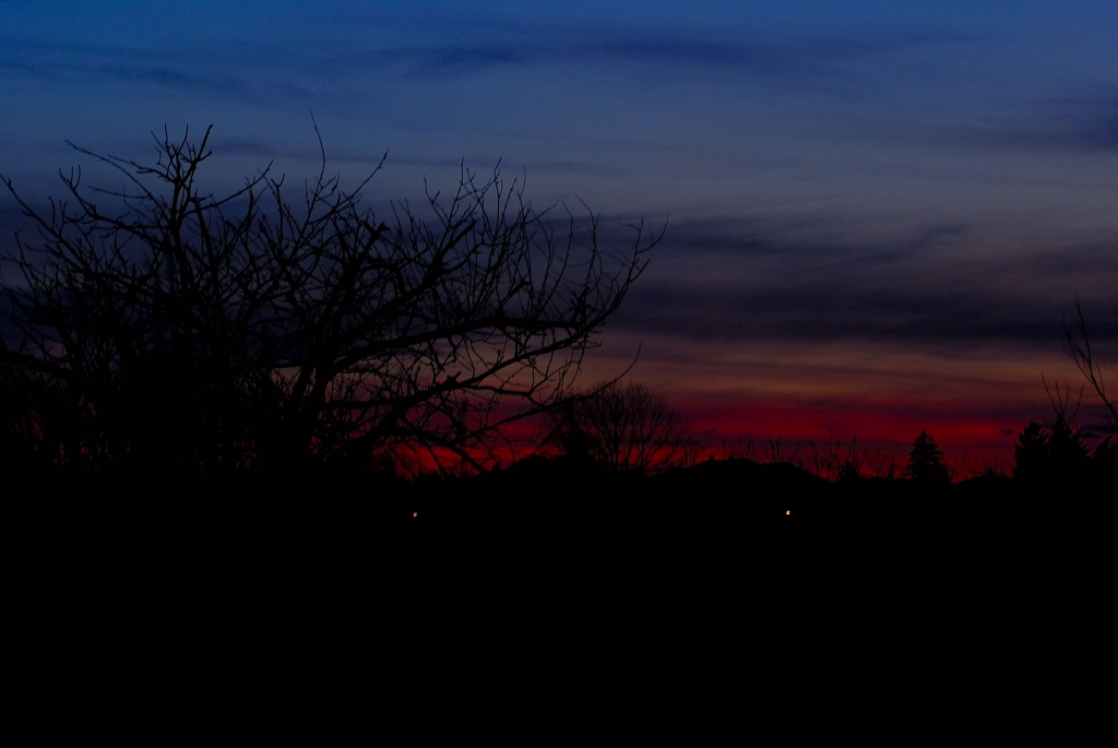 il giardino di fronte