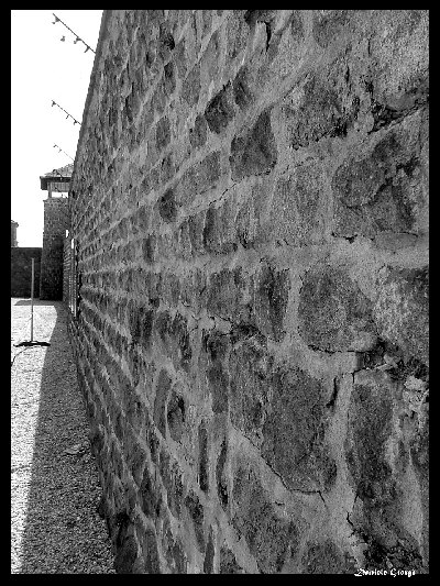 Il muro della prigionia