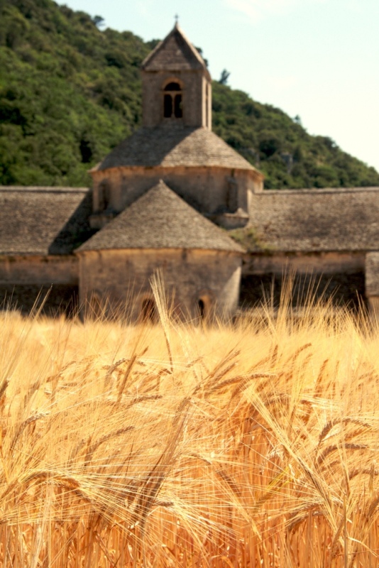 Abbazia di S�nanque