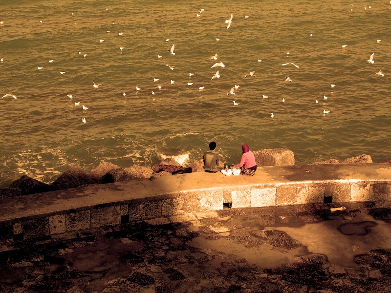 Gabbiani d'altri tempi