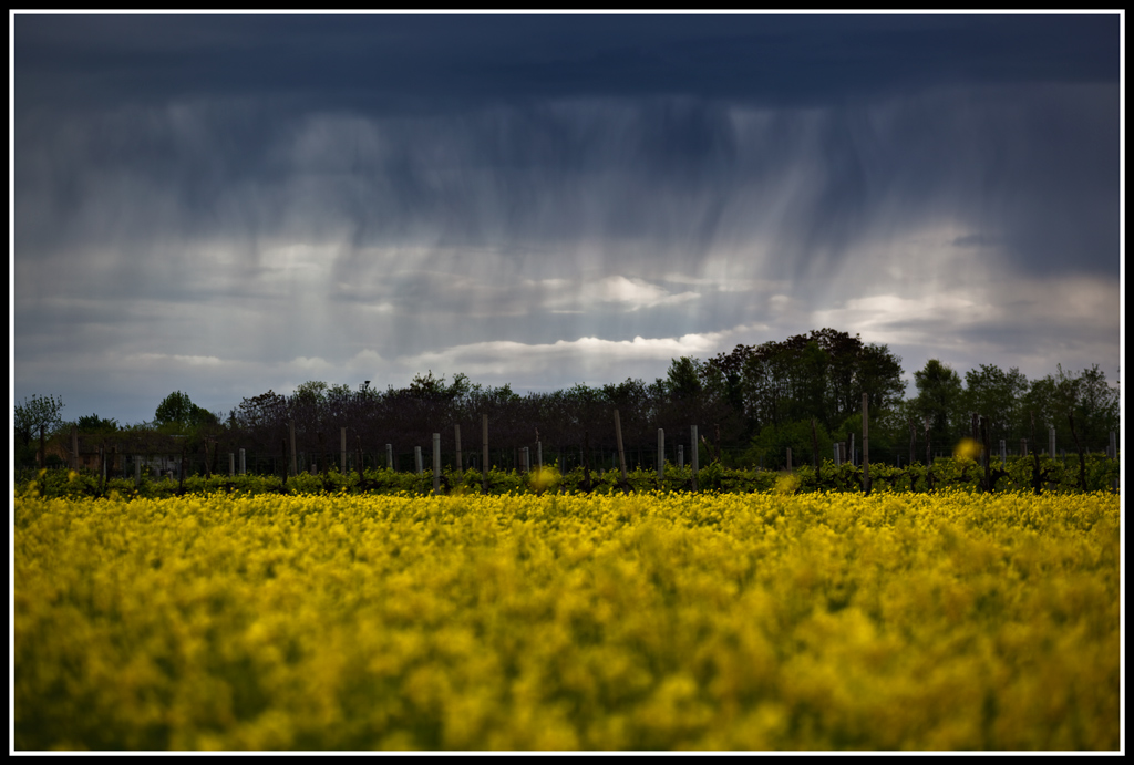 ... arriva la pioggia ...