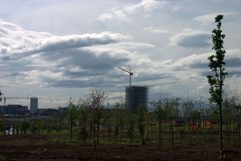 dove c'era l'erba ora c'�...