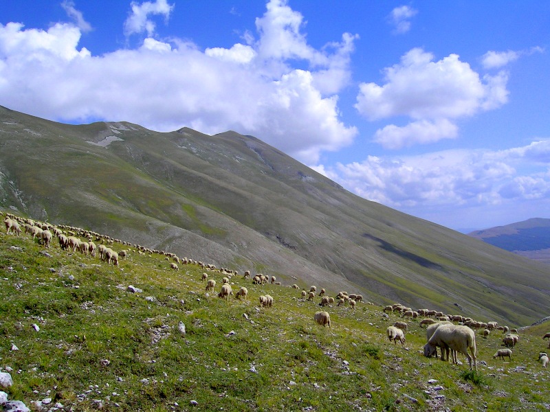 Uno Nuessuno Centomila