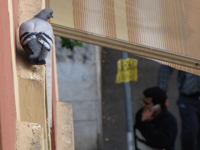 mmm... mo lo cago tutto quello laggi�...