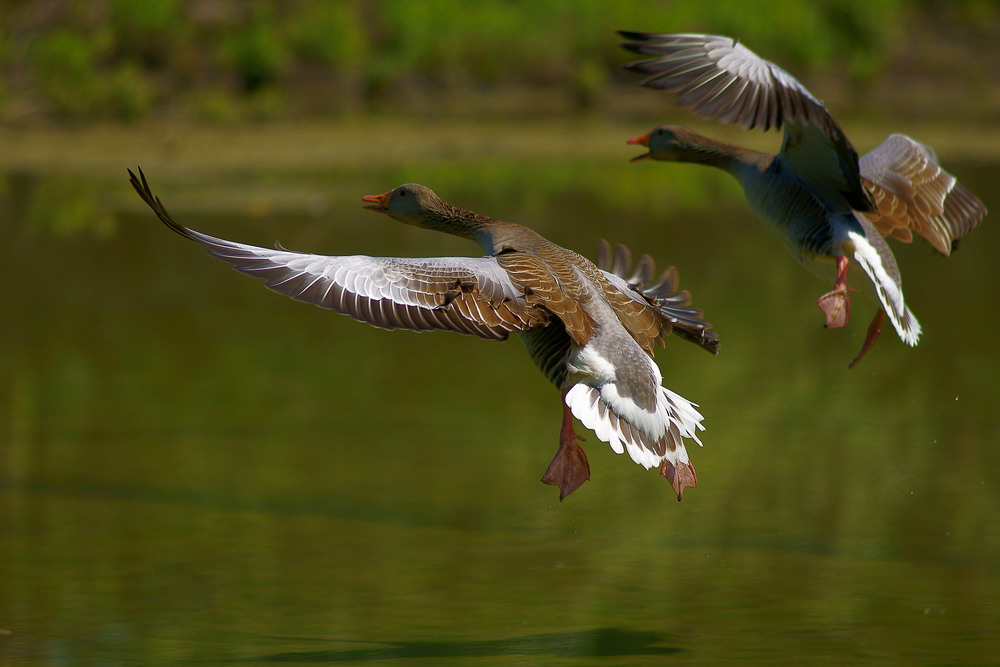 Prima dell'atterraggio