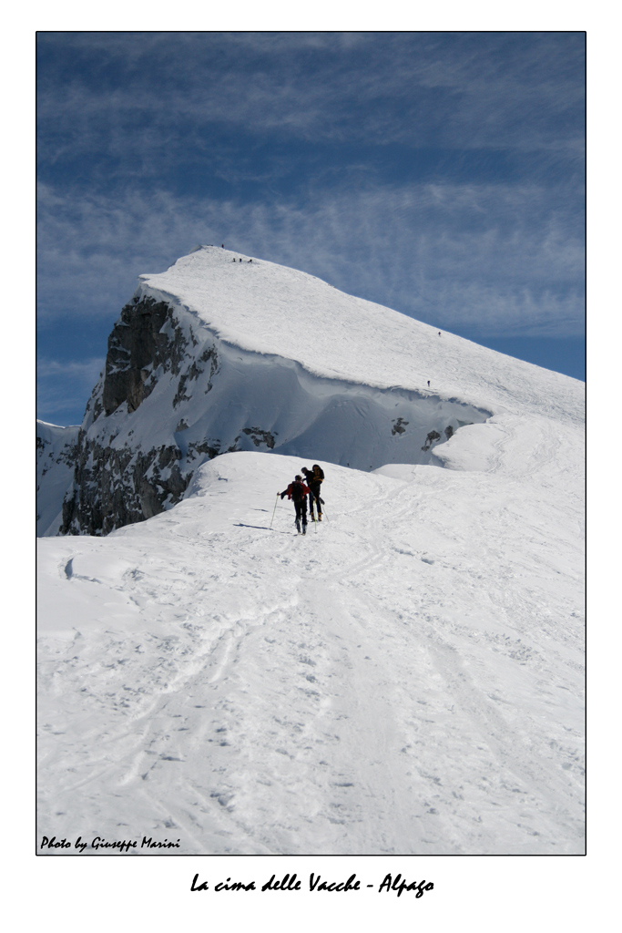 Cima delle Vacche - Alpago (scialpinismo)