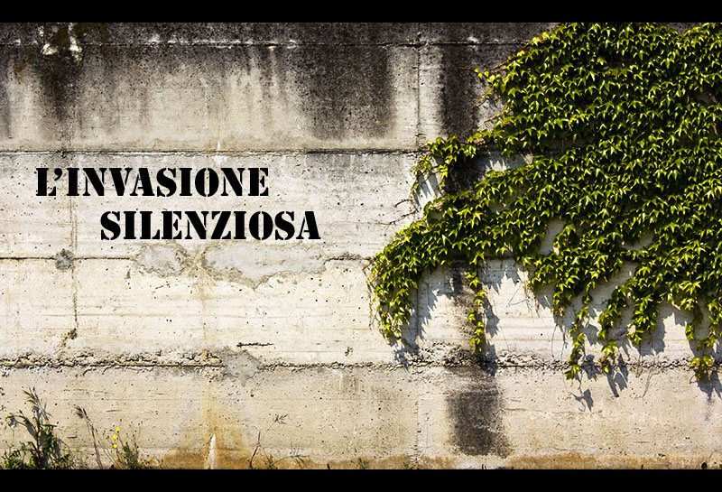 L'invasione silenziosa