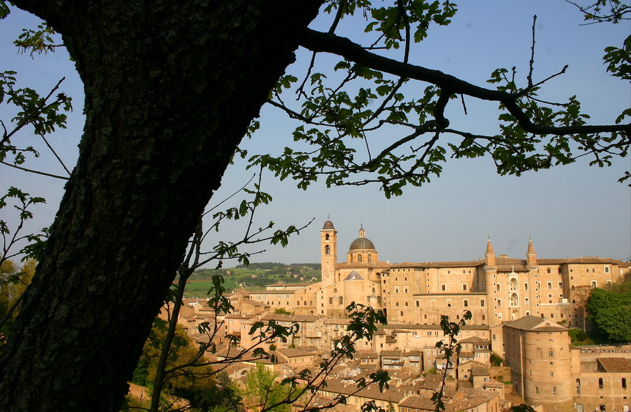 Punti di vista - chiaro scuri