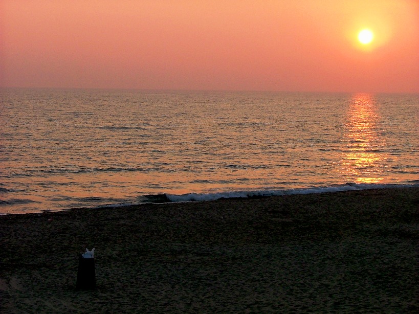 spiaggia affollata con coniglietto quasi fuori dal cilindro