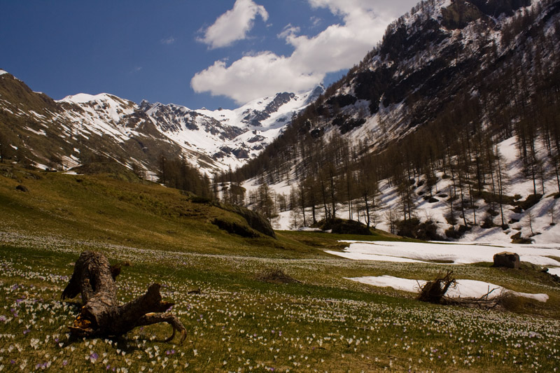 Val biandino, disgelo
