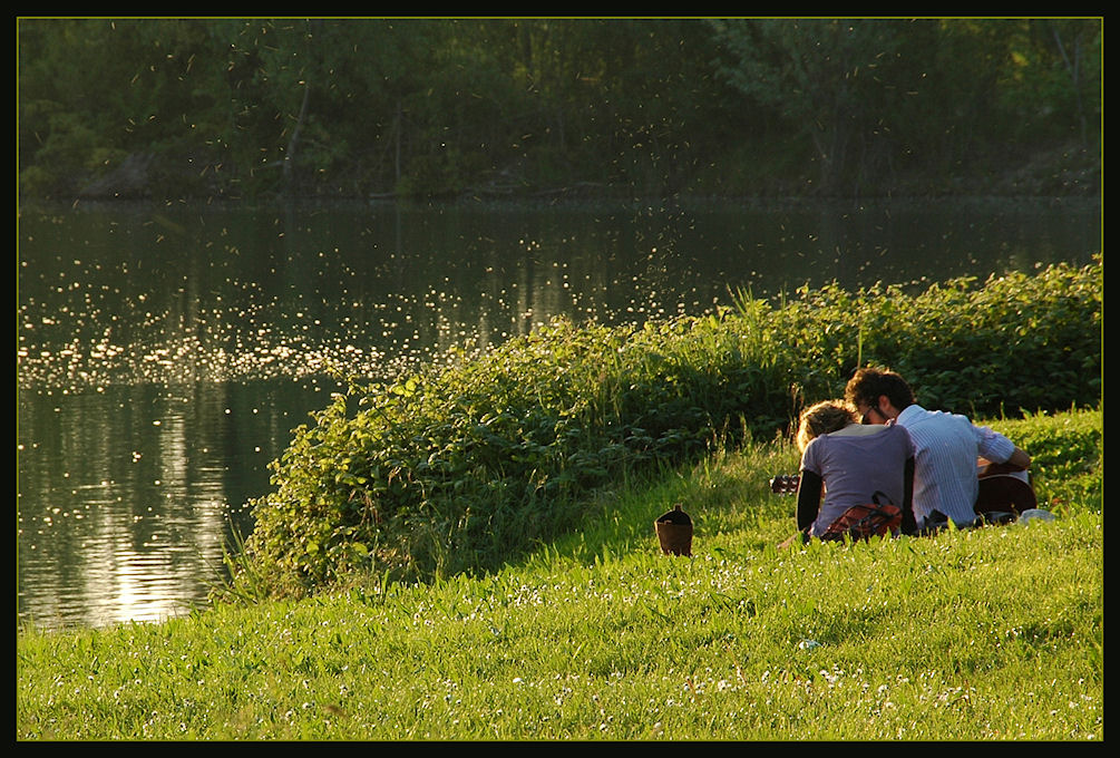 le bionde trecce.......