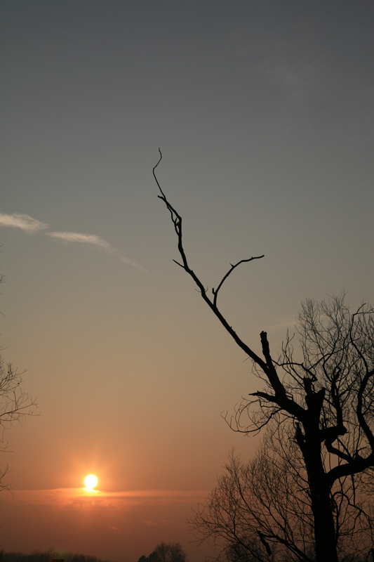 Minimalismo al tramonto