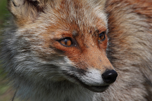 Un incontro inaspettato