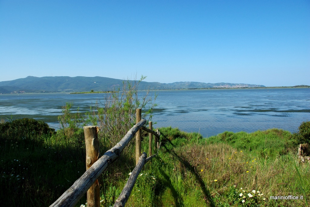 la laguna vista dal bosco di Patanella