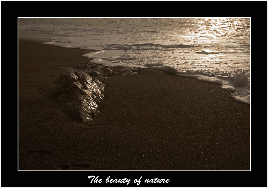 The beauty of nature