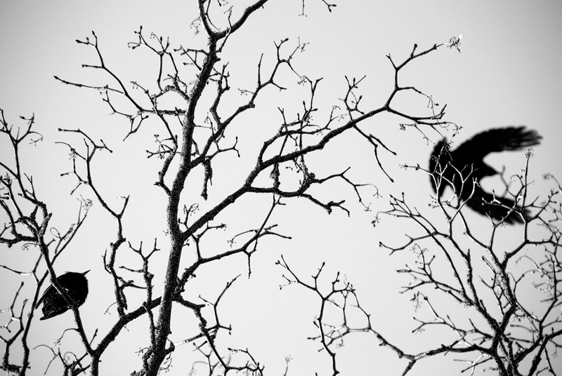 My soul is flying away