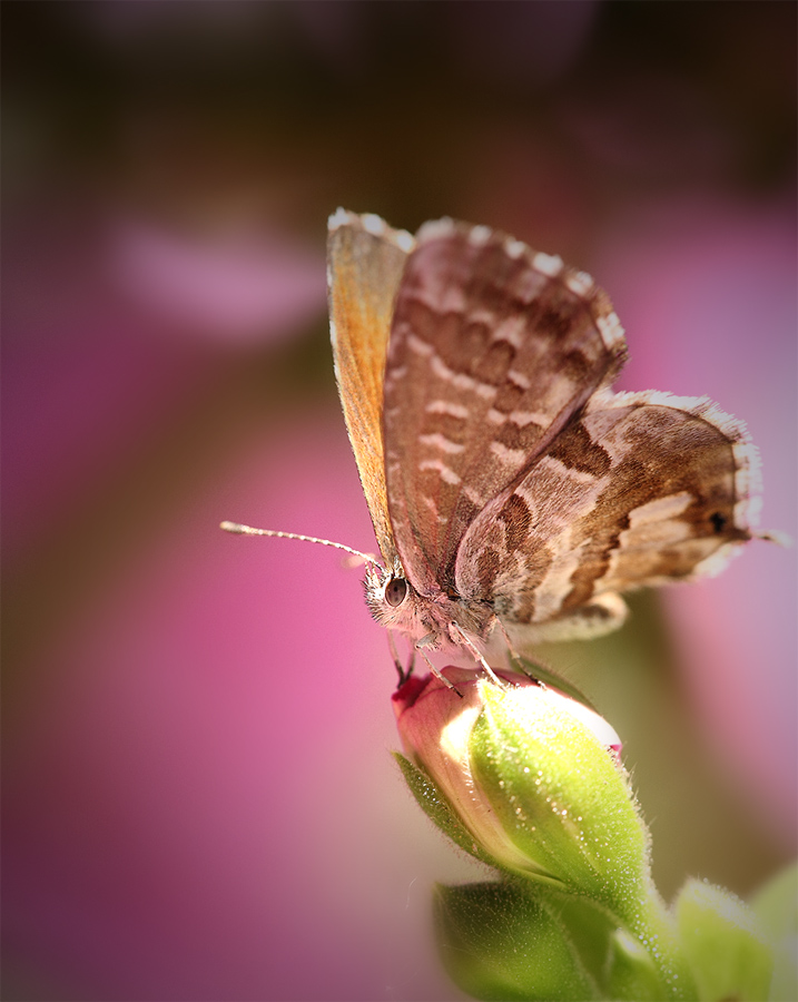 U n M o n d o a C o l o r i